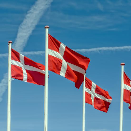 Flag/Danneborg