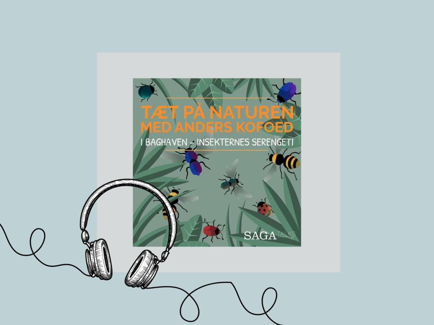 Cover til podcasten ‘Tæt på naturen med Anders Kofoed’ med små insekter på grøn baggrund.